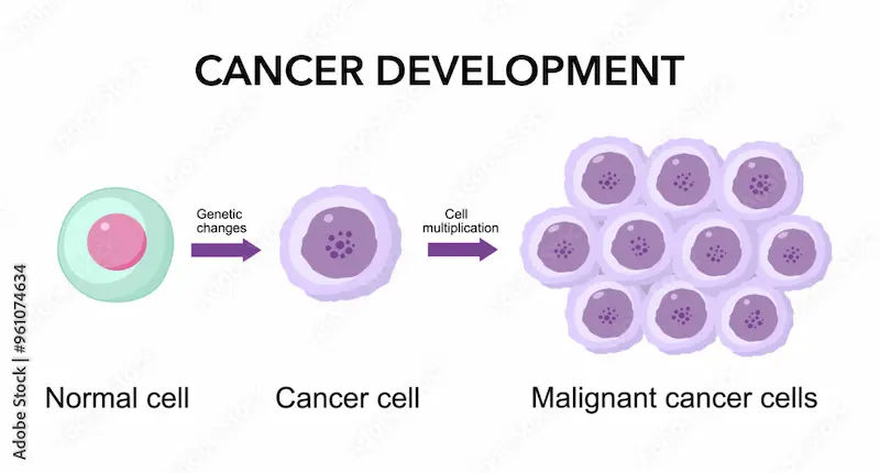 Guide to How Tumour Develop And Grow